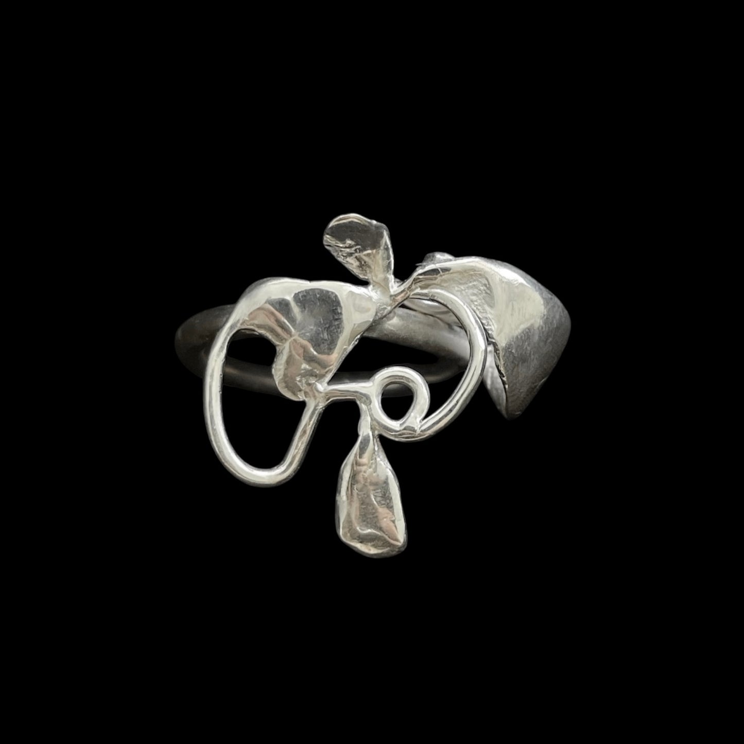 Mauvaise herbes ring n2