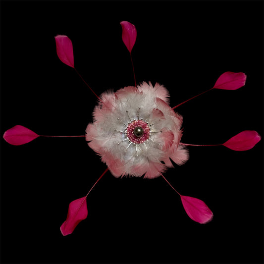 Pink feathers brooch
