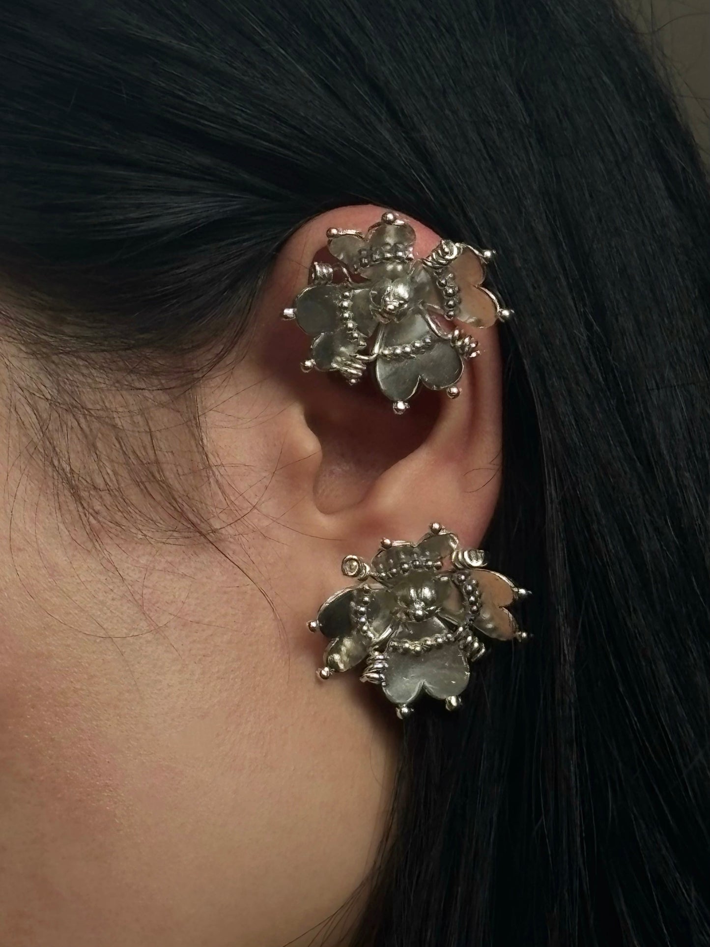 Rose that grew from concrete