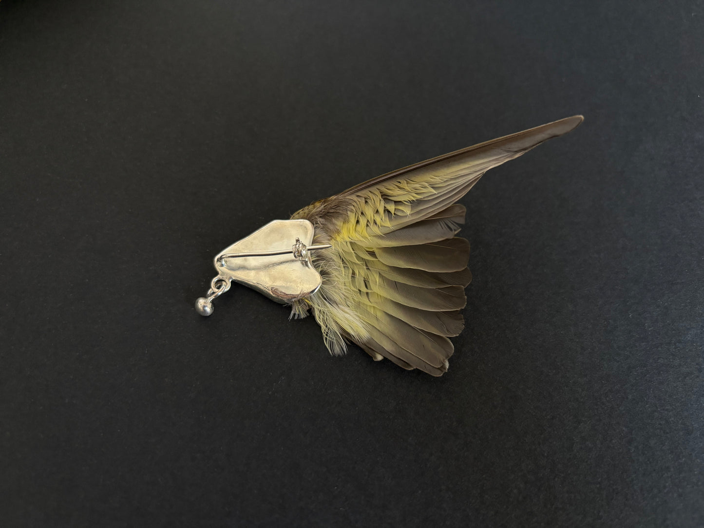 Siskin wing brooch