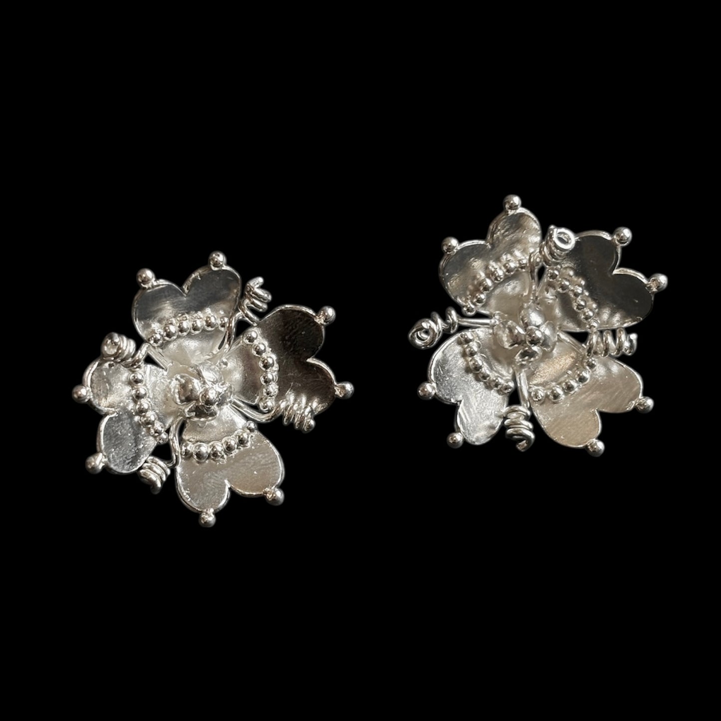 Rose that grew from concrete