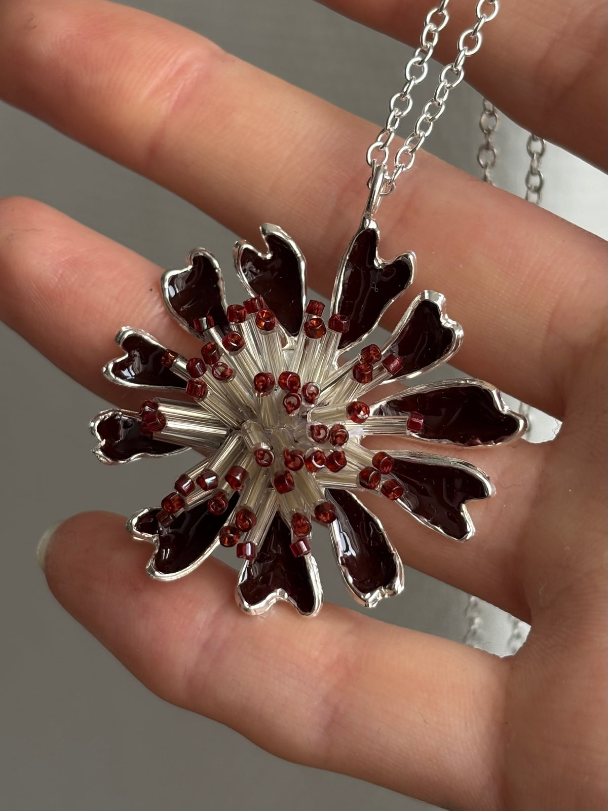 Black daisy
