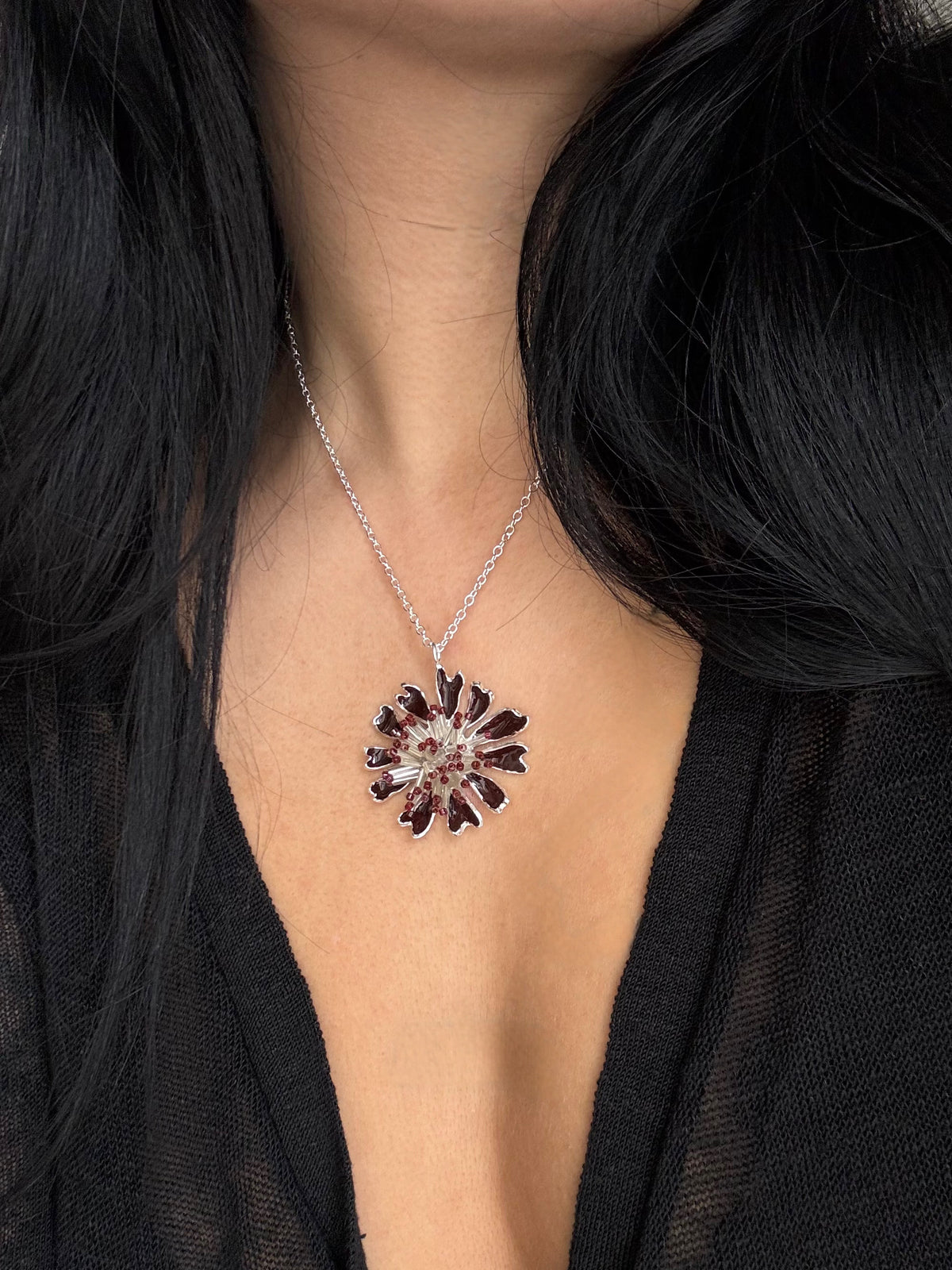 Black daisy