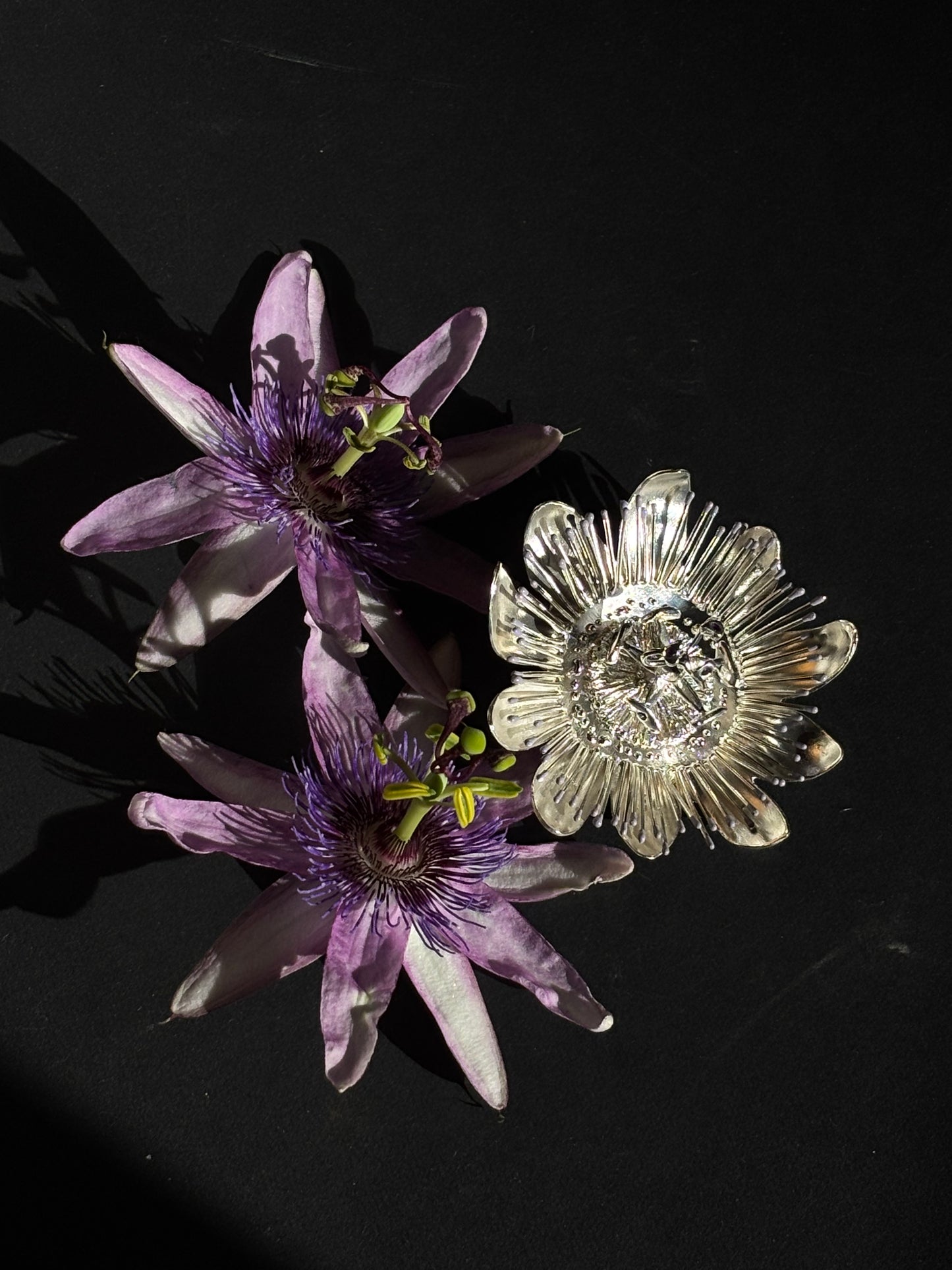 Passiflore brooch