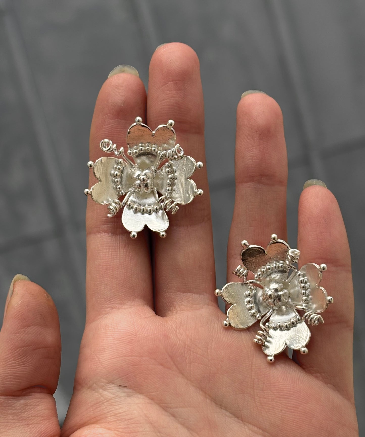 Rose that grew from concrete