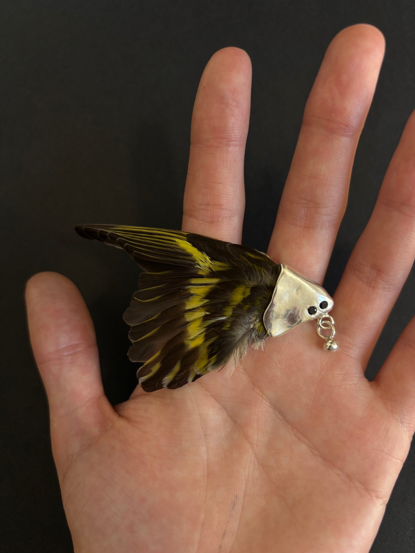 Siskin wing brooch